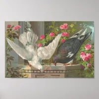 Vintage Pigeons Poster