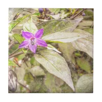 Ornamental Peppers Ceramic Tile