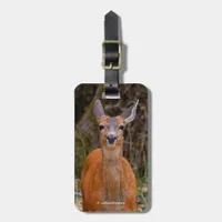 Funny Young Blacktail Deer Smiles at Photographer Luggage Tag