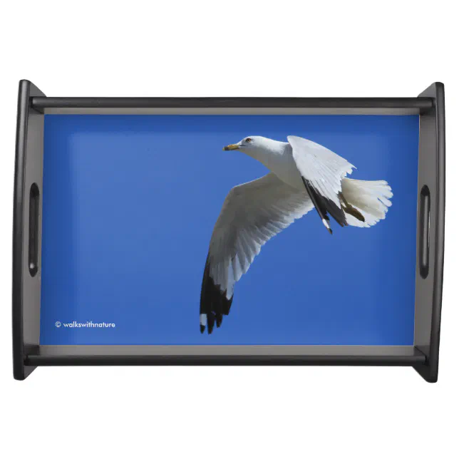 Breathtaking Ring-Billed Gull in Flight Serving Tray