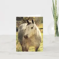 Gray Horse Birthday Card