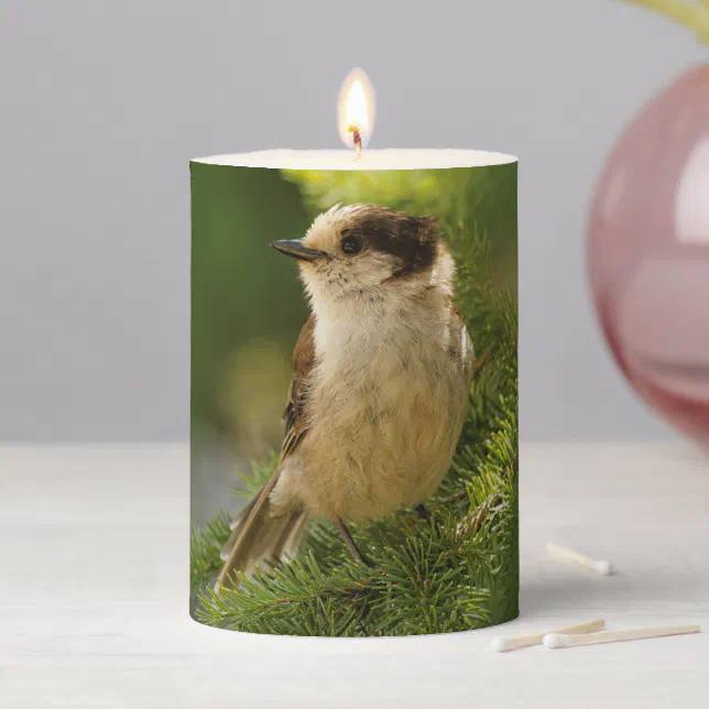 Profile of a Cute Grey Jay / Whiskeyjack Pillar Candle