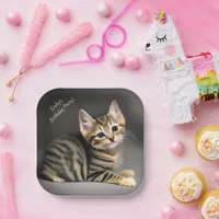 Cute fluffy tabby cat baby   paper plates