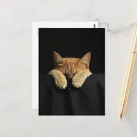 A Cute Sleepy Ginger Kitty Hanging Off the Bed Postcard