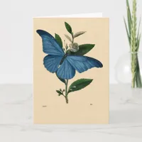 Vintage Blau Schmetterling, Happy Birthday Card