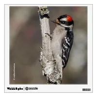 Profile of a Male Downy Woodpecker Wall Decal