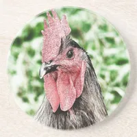 Blue Rooster Digital Art Sandstone Coaster