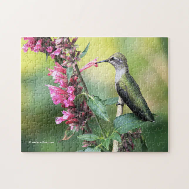 Anna's Hummingbird on the Anise Hyssop Flowers Jigsaw Puzzle