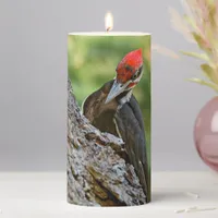 Stunning Portrait of Pileated Woodpecker on Tree Pillar Candle