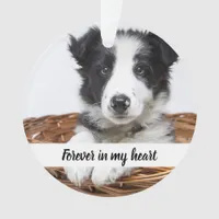 Memorial dog pet photo ornament