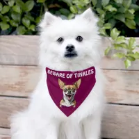 Beware of (Add Dog Name) Personalized Pet Bandana Collar