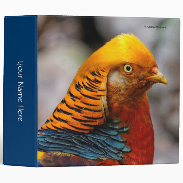 Profile of a Red Golden Pheasant 3 Ring Binder