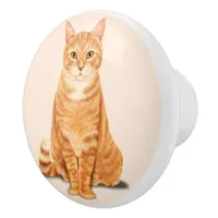 Orange Tabby Cat Custom Ceramic Knob