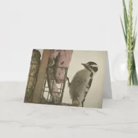 Woodpecker Card