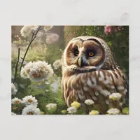 Owl Postcard