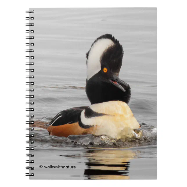 A Surprised Hooded Merganser Notebook