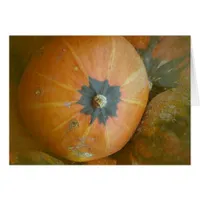 Pumpkin Patch