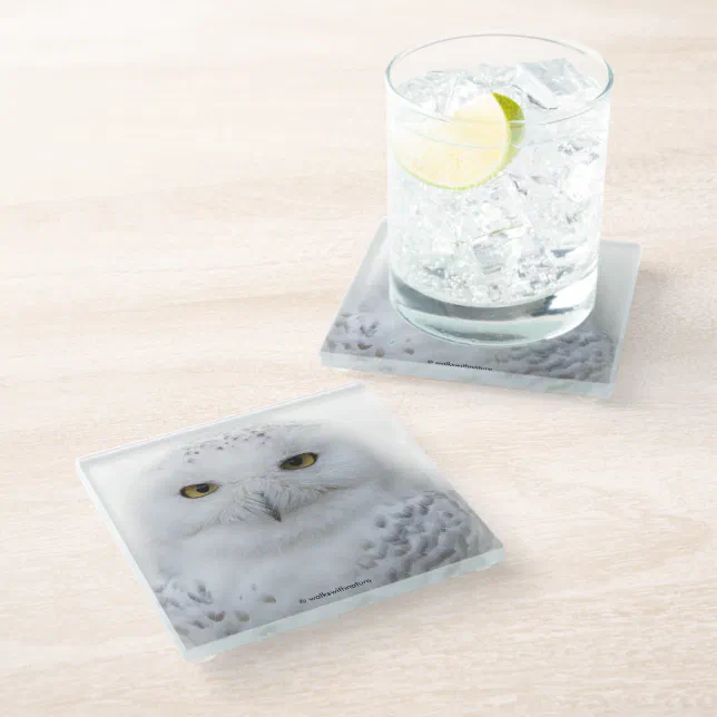 Beautiful, Dreamy and Serene Snowy Owl Glass Coaster