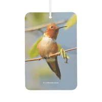 Stunning Rufous Hummingbird in the Sun Air Freshener