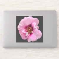 Pink rose with Purple Heart - oil painting Sticker