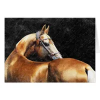 Palomino Akhal-teke stallion