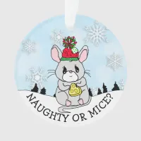 Funny Cat and Mouse Christmas Ornament