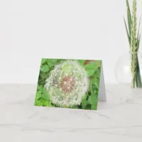 Card - Note - Dandelion wish