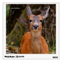Funny Young Blacktail Deer Smiles at Photographer Wall Decal
