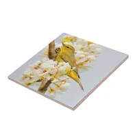 Orange-Crowned Warbler Amid the Cherry Blossoms Ceramic Tile