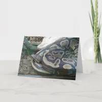 Boa Snake Card