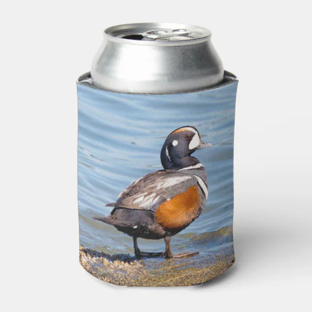 Beautiful Harlequin Duck on the Rock Can Cooler