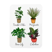 Hand Drawn House Plants Art  Magnet