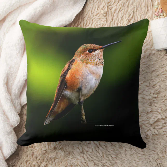 Adorable Rufous Hummingbird on Fruit Tree Throw Pillow