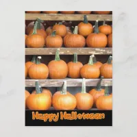 Halloween Pumpkin Wall Postcard