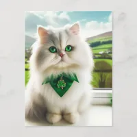 Cute St. Patricks Day Cat Fluffy White Cat Postcard