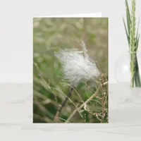 Fluff all occasions card