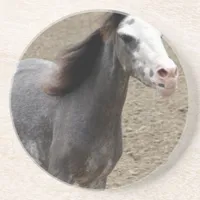 Mini Horse in Liberty Class at a Horse Show Drink Coaster