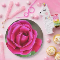 Vibrant Fuchsia Pink Rose Blossom Makro Paper Plates