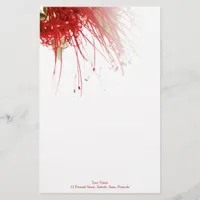 Bottlebrush Flower Stationery