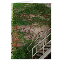 Ivy Vines, Stairs, Brick Wall Cards