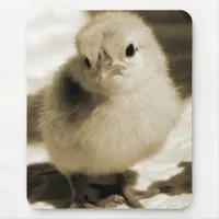 Boot's Chick Mouse Pad