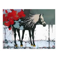 Horse With 5 Legs oops Photo Enlargement