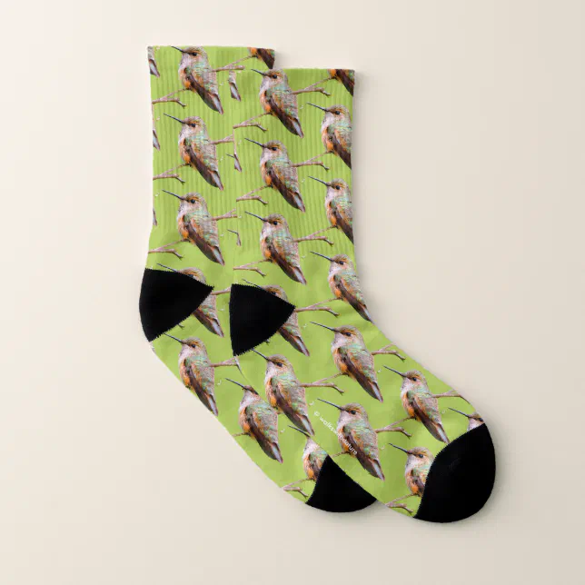 Rufous Hummingbird Sitting in the California Lilac Socks