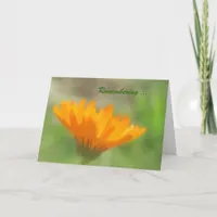 Card - greeting - Orange Calendula