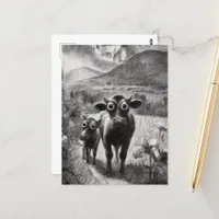 Black and White Wide Eyed Cows Postcard