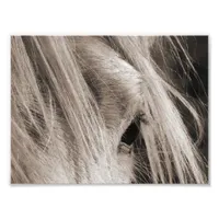 Messy Mane Day Photo Print