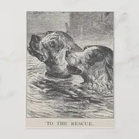 To The Rescue Postcard