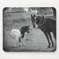 Pinto Pony and Horses Mouse Pad