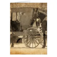 Buggy Before The Horse, Amish Bring Home New Horse