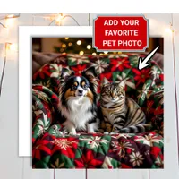 Add Your Photo to this Christmas Holiday Card